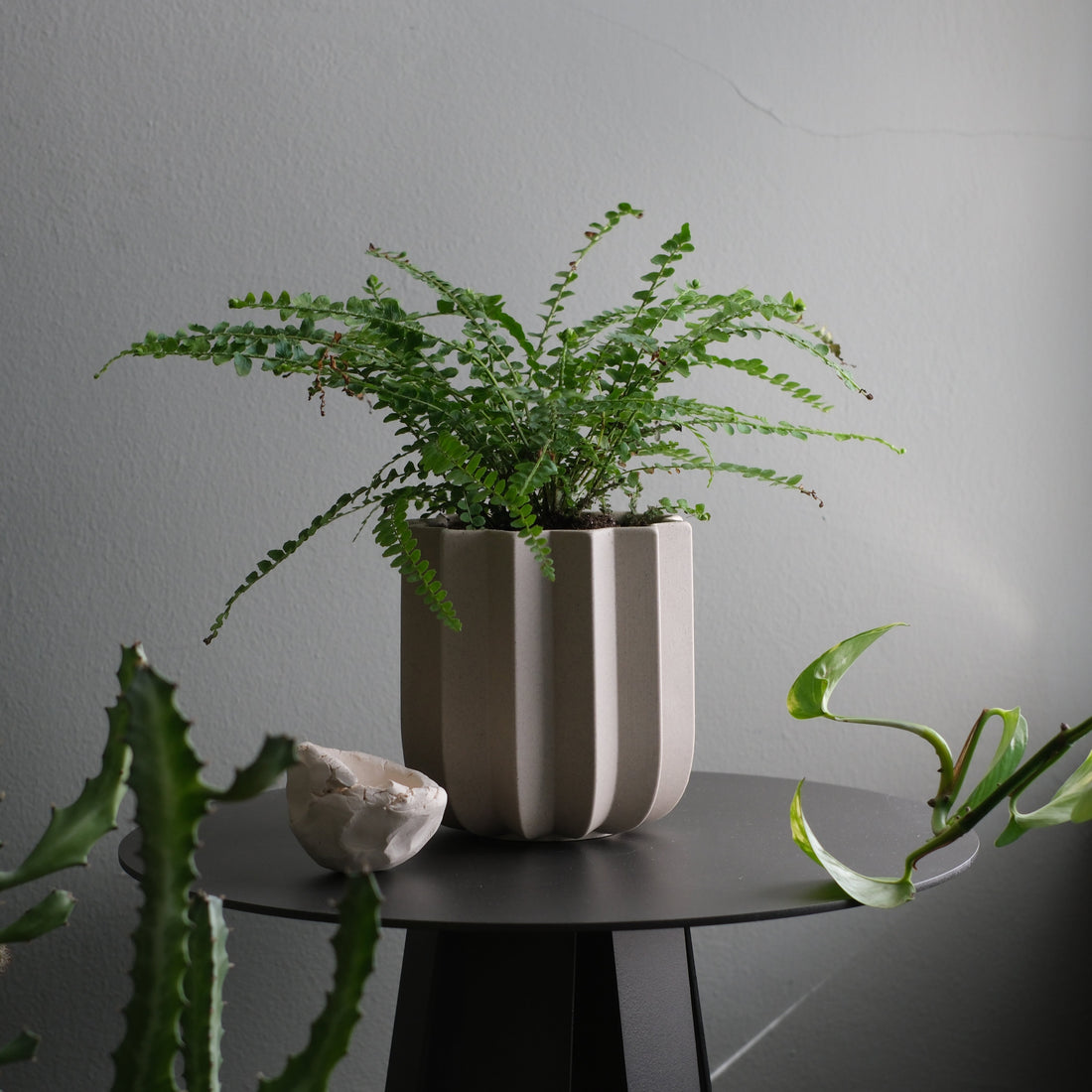 Wrap Planter - 4 sizes — The Wrap Planter features sculptural vertical ridges inspired by the natural rhythm of win