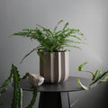 Wrap Planter - 4 sizes — The Wrap Planter features sculptural vertical ridges inspired by the natural rhythm of win