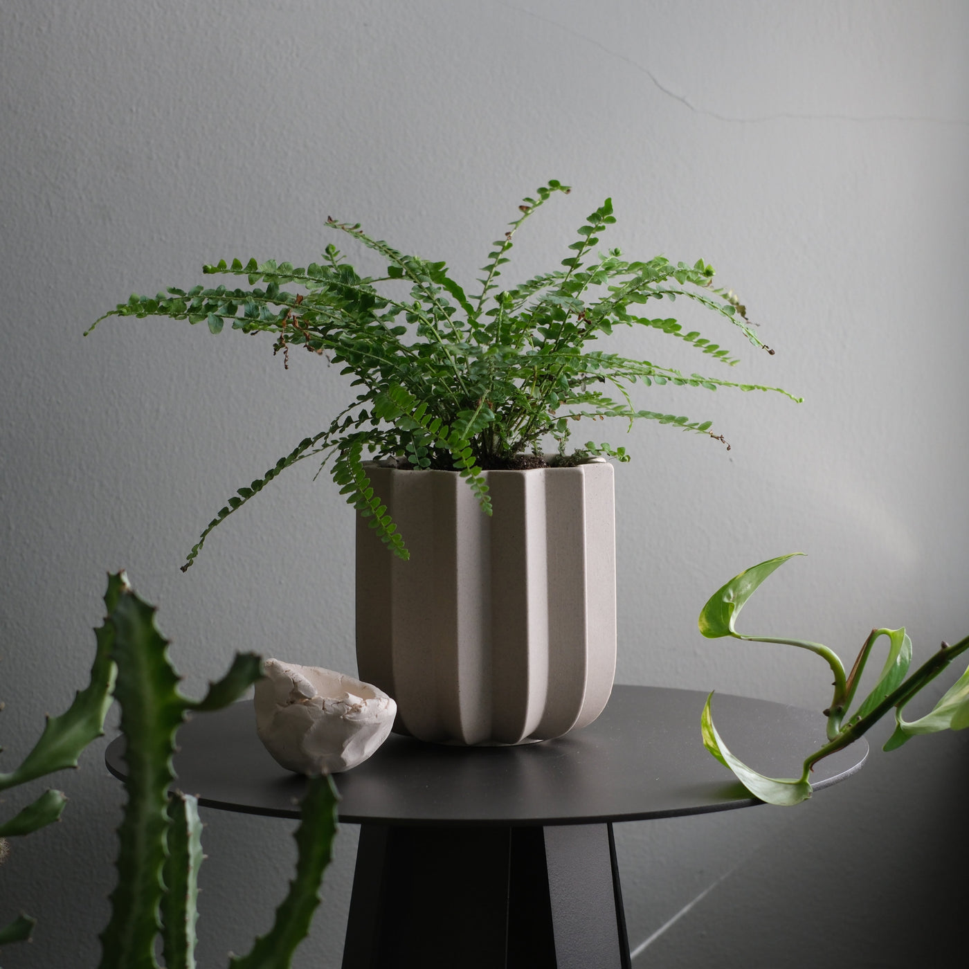 Wrap Planter - 4 sizes — The Wrap Planter features sculptural vertical ridges inspired by the natural rhythm of win