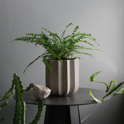 Wrap Planter - 4 sizes — The Wrap Planter features sculptural vertical ridges inspired by the natural rhythm of win