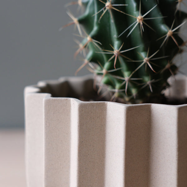 Wrap Planter - 4 sizes — scale reference and proportion detail