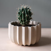 Wrap Planter - 4 sizes — back and side profile detail