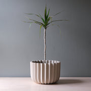 Wrap Planter - 4 sizes — alternate angle showing full form