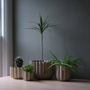 Wrap Planter - 4 sizes — close-up of label and production detail