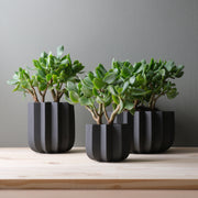 Wrap Planter - 4 sizes — additional product view 15