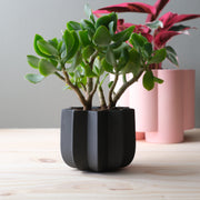 Wrap Planter - 4 sizes — additional product view 14