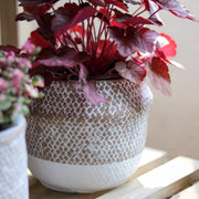 Woven-Texture Cement Flower Planter