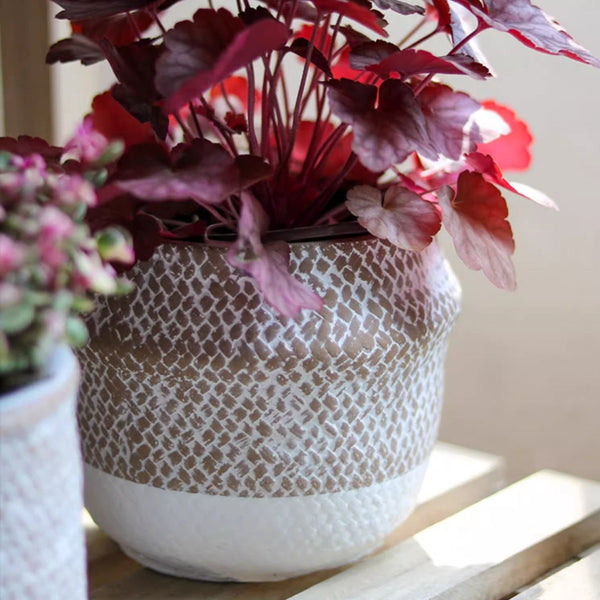 Woven-Texture Cement Flower Planter