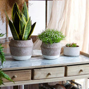 Woven-Texture Cement Flower Planter