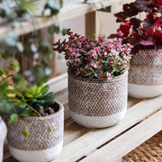Woven-Texture Cement Flower Planter