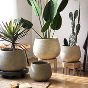 Scored Globe Cement Planter