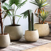 Scored Globe Cement Planter