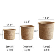 Woven Natural Fiber Cylinder Basket