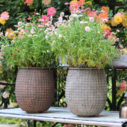 Dimple-Textured Cement Planter