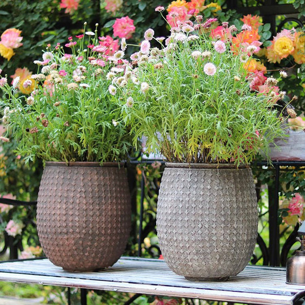 Dimple-Textured Cement Planter