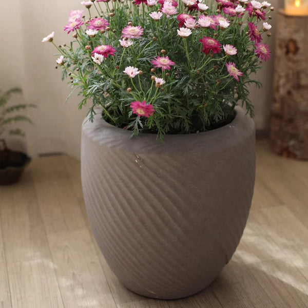 Swirl-Textured Magnesia Planter