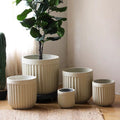 Ribbed Magnesium Oxide Cylinder Planter