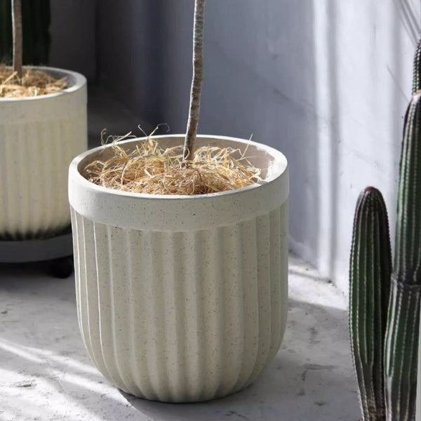 Ribbed Magnesium Oxide Cylinder Planter