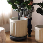 Ribbed Magnesium Oxide Cylinder Planter