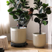 Ribbed Magnesium Oxide Cylinder Planter