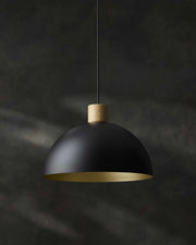 Dome Metal Pendant Light