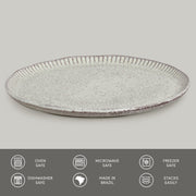 Speckled Ceramic Dinner Plate Set