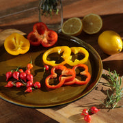 Speckled Ceramic Dinner Plate Set