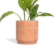 Grid-Scored Terracotta Planter
