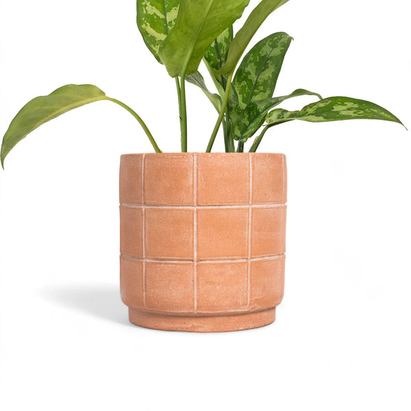 Grid-Scored Terracotta Planter