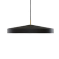 Matte Black Powder-Coated Pendant Light