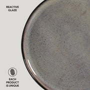 Speckled Ceramic Dinner Plate Set
