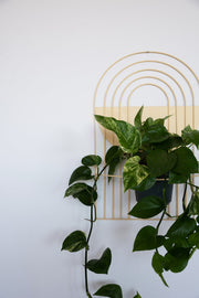 Arch-Form Painted Metal Wall Planter — additional product view 13