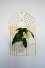 Arch-Form Painted Metal Wall Planter — Concentric arch wire planter in fifteen powdercoat colorways, holds 6-inch pot