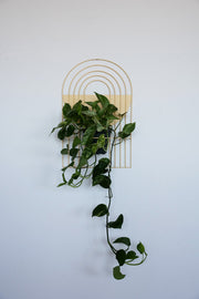 Arch-Form Painted Metal Wall Planter — styled in a complete room vignette