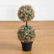 Autumn Boxwood Double Ball Topiary Tree