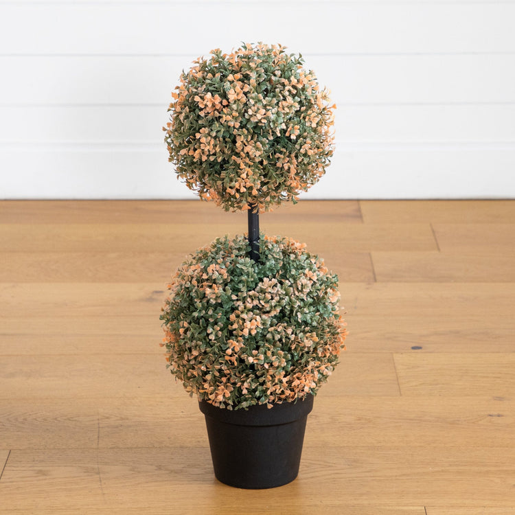 Autumn Boxwood Double Ball Topiary Tree