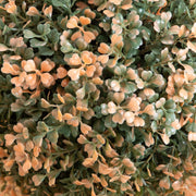 Autumn Boxwood Double Ball Topiary Tree