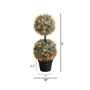 Autumn Boxwood Double Ball Topiary Tree