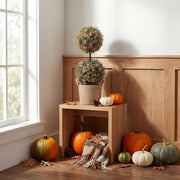 Autumn Boxwood Double Ball Topiary Tree