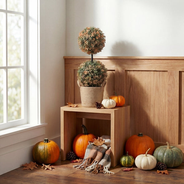 Autumn Boxwood Double Ball Topiary Tree