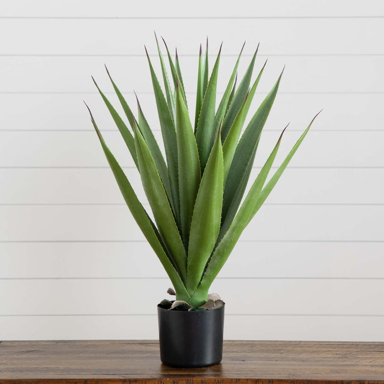 Artificial Agave Plant Nursery Pot