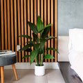 Artificial Bird of Paradise Potted Plant