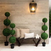 Triple Ball Boxwood Topiary Tree