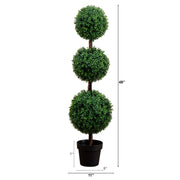 Triple Ball Boxwood Topiary Tree