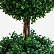 Triple Ball Boxwood Topiary Tree