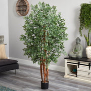 Faux Aralia Indoor Tree
