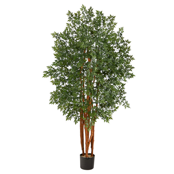 Faux Aralia Indoor Tree