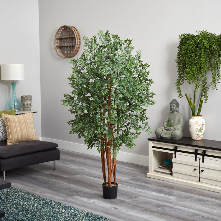 Faux Aralia Indoor Tree