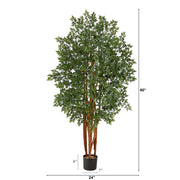 Faux Aralia Indoor Tree