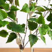 Faux Birch Indoor Tree